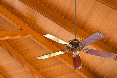 Ceiling Fan